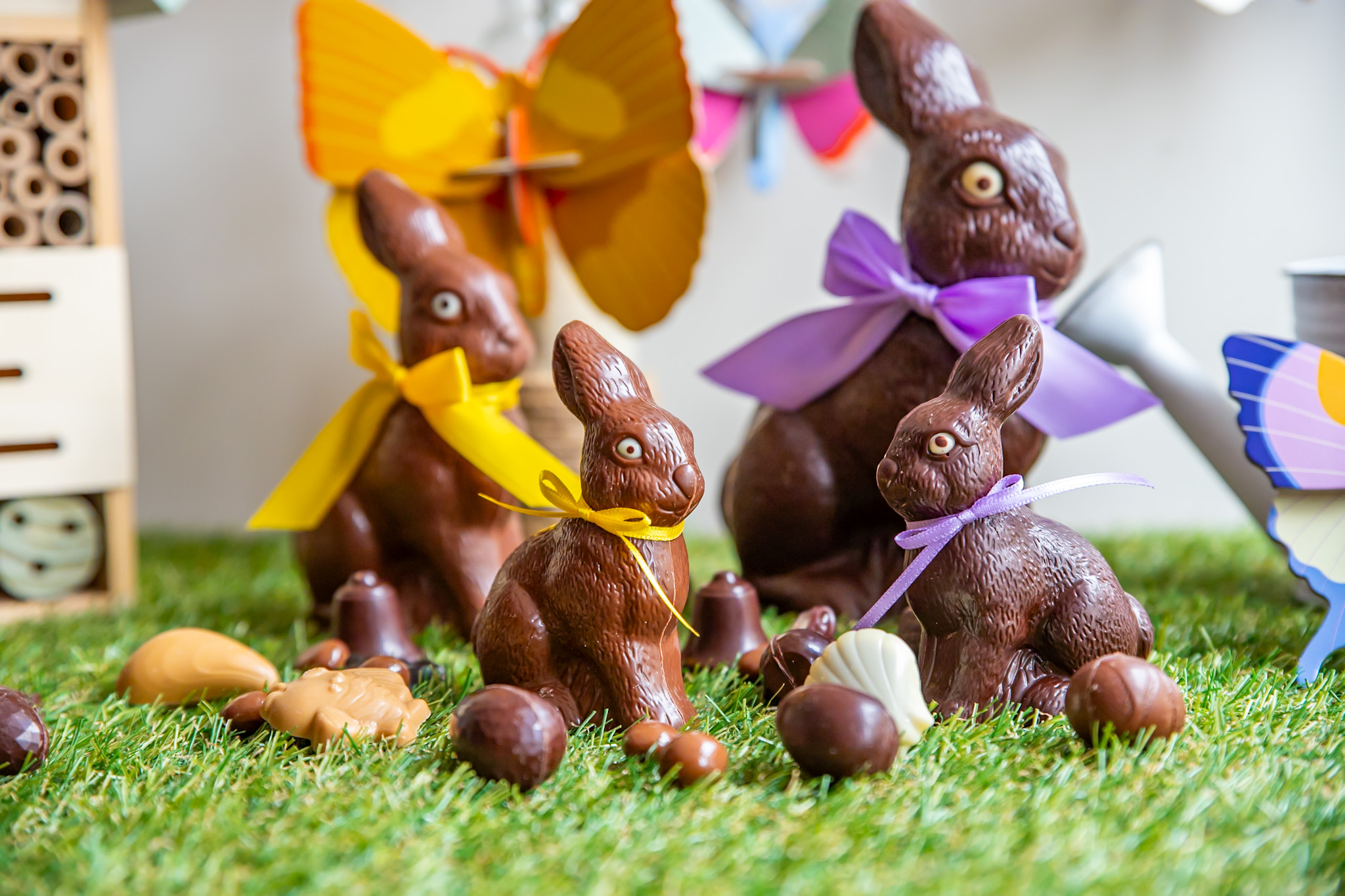 Chocolat T