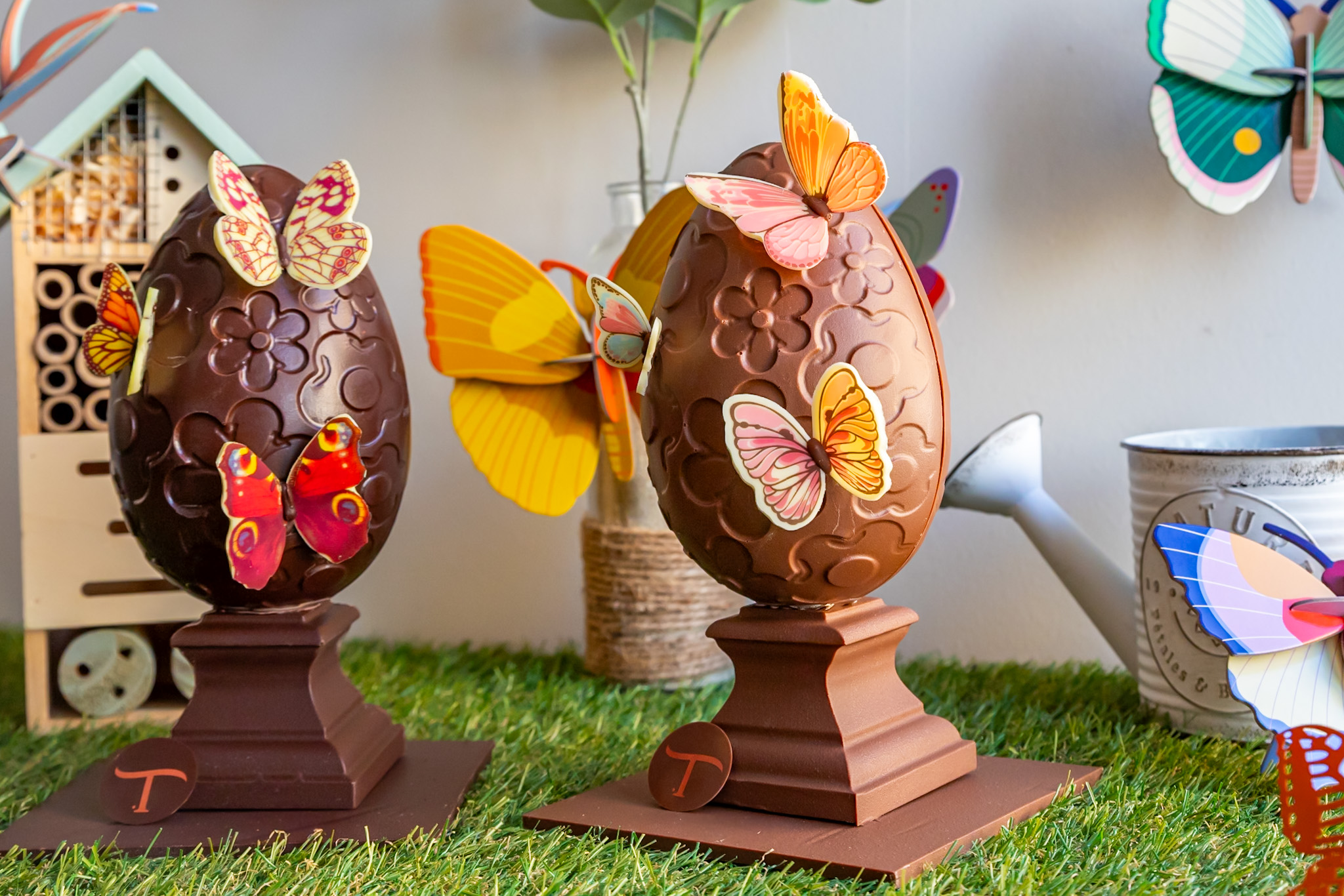 Chocolat T